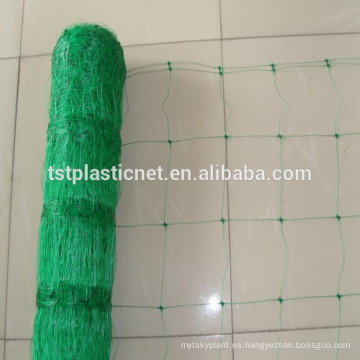 green vegetable climbing Netting supplier/plastic plants support net